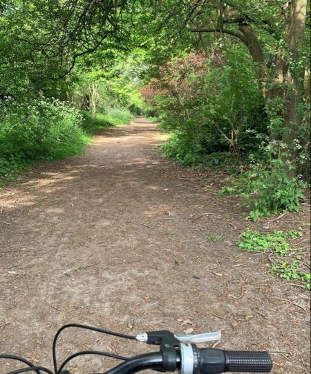 Bike rides in nature - copia